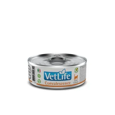 Racao Umida Para Gato Convalescenca Vet Life 1